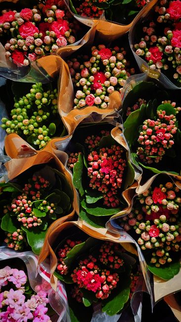 A collection of fresh flower bouquets featuring pink, red, and white miniature roses and other small blooms, wrapped in brown and transparent cellophane with green foliage accents. The arrangements ar