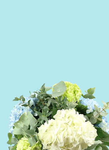 Same day Flowers Earlsfield